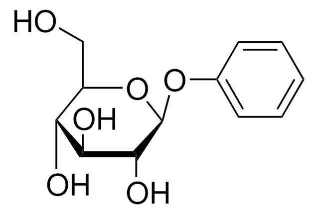 PHENYL-BETA-D-GLUCOPYRANOSID 97% pack 1X25G