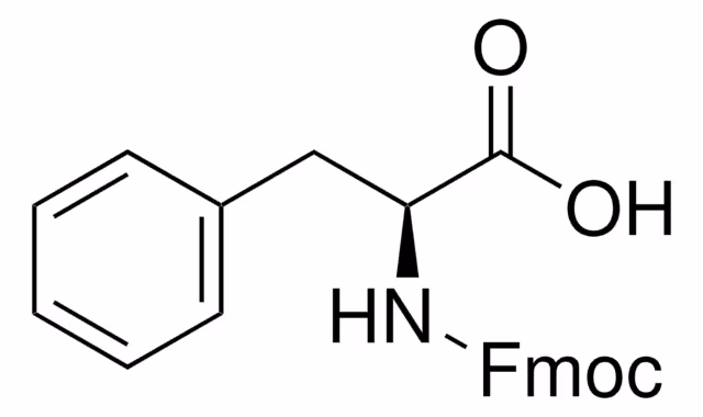 N-(9-FLUORENYLMETHOXYCARBONYL)-L-PHENYLA pack 1X25G