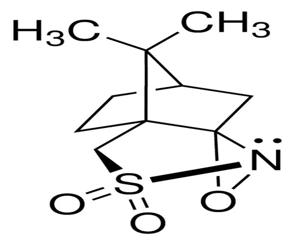 (1S)-(+)-(10-CAMPHORSULFONYL)OXAZIRIDINE pack 1X1G