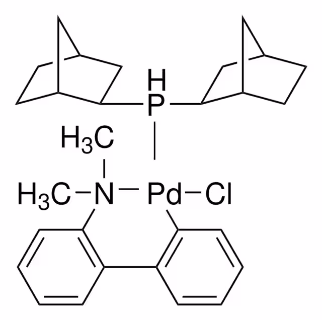 2'-(DIMETHYLAMINO)-2-BIPHENYLYL-PALLADI& pack 1X1G