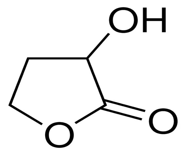 ALPHA-HYDROXY-GAMMA-BUTYROLACTONE, TECH. pack 1X5G