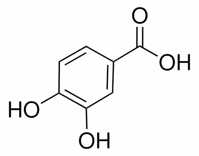 3,4-DIHYDROXYBENZOIC ACID, >=97.0% (T) pack 1X25G
