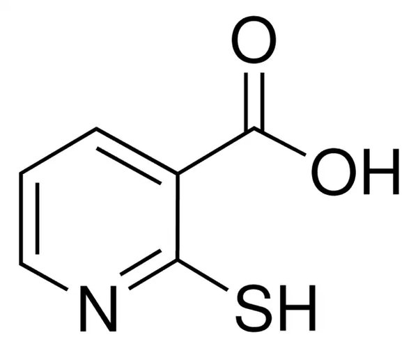 2-MERCAPTOPYRIDINE-3-CARBOXYLIC ACID, T& pack 1X100G