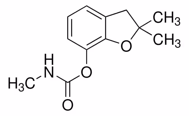 2,3-DIHYDRO-2,2-DIMETHYL-7-BENZOFURANOL pack 1X5G