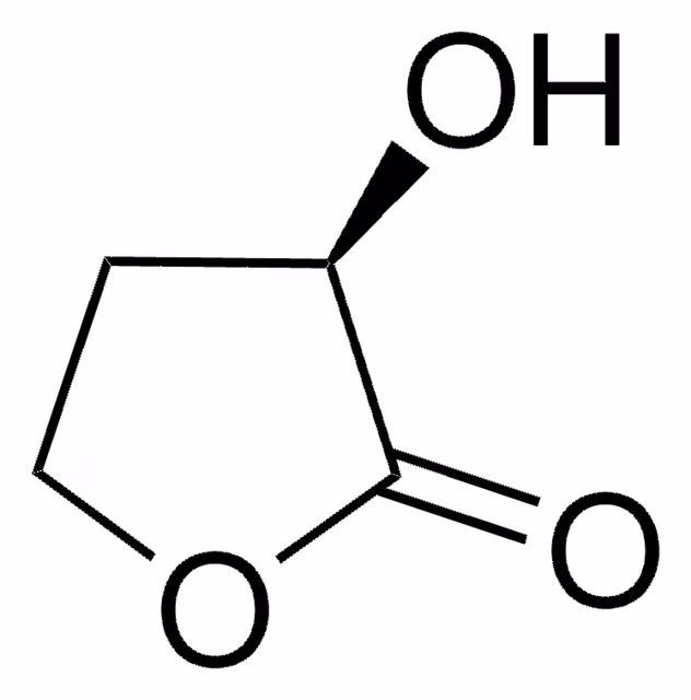 (R)-(+)-A-HYDROXY-G-BUTYROLACTONE pack 1X1G