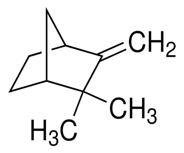 CAMPHENE, 95% pack 1X1KG