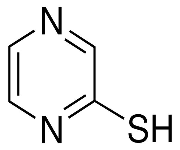 2-MERCAPTOPYRAZINE pack 1X1G