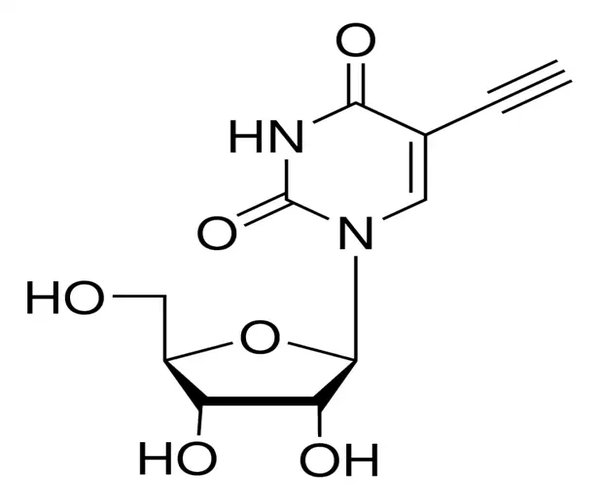 5-ETHYNYL URIDINE pack 1X5MG