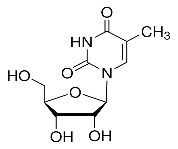 5-METHYLURIDINE, 97% pack 1X25G