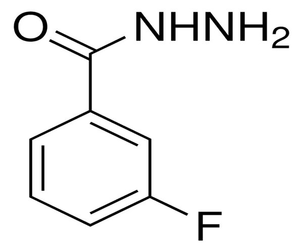 3-FLUOROBENZOIC HYDRAZIDE, 97% pack 1X1G