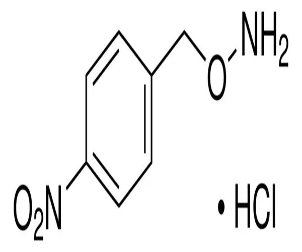 O-(4-NITROBENZYL)HYDROXYLAMINE HYDROCHL& pack 1X1G
