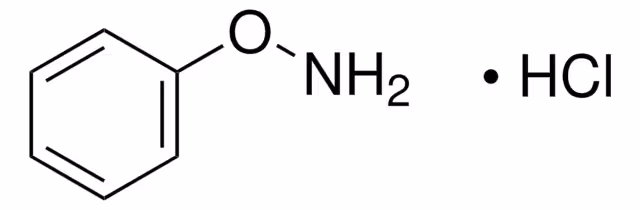 O-PHENYLHYDROXYLAMINE HYDROCHLORIDE, >=& pack 1X1G