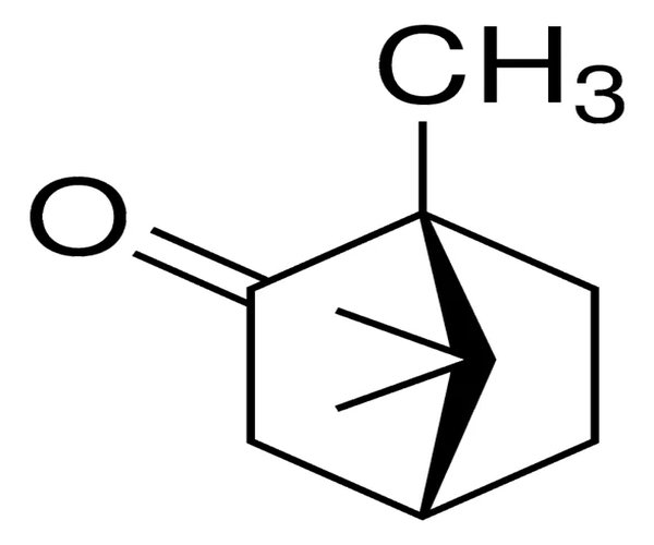 (1R)-(+)-CAMPHOR, 98% pack 1X100G