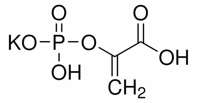 Phospho(enol)pyruvic acid monopotassium pack 1X1G