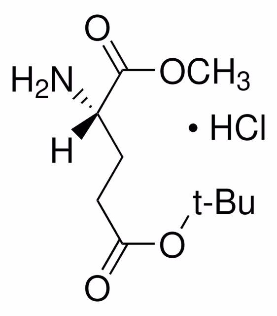 L-GLUTAMIC ACID 5-TERT-BUTYL 1-METHYL E& pack 1X1G