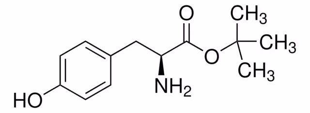 L-TYROSINE TERT-BUTYL ESTER, >=99.0% pack 1X5G