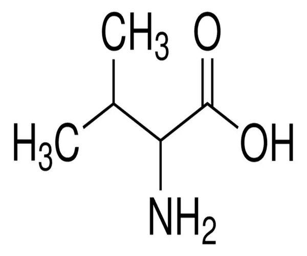 DL-VALINE, REAGENTPLUS(R), >=99.0% (NT) pack 1X25G