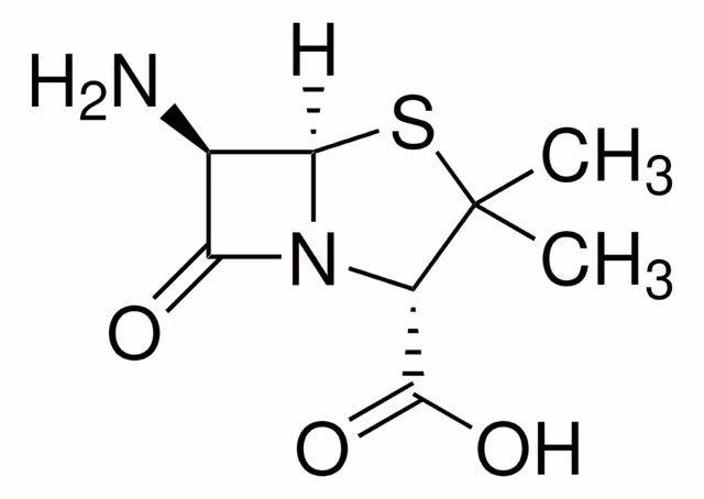 (+)-6-AMINOPENICILLANIC ACID, 96% pack 1X50G
