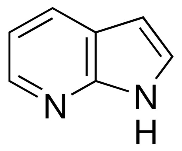 7-AZAINDOLE, 98% pack 1X5G
