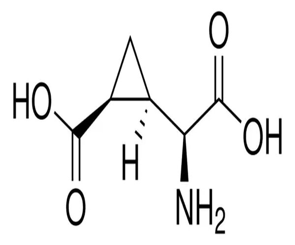 (2S,3R,4S)-ALPHA-(CARBOXYCYCLOPROPYL)-G& pack 1X1MG