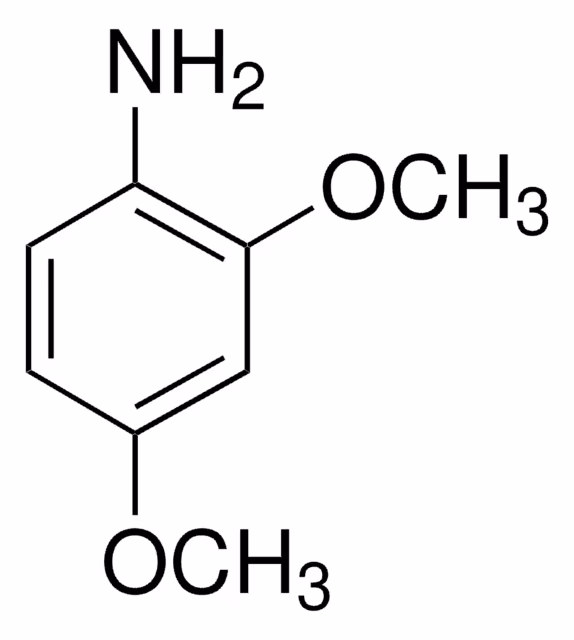 2,4-DIMETHOXYANILINE, 97% pack 1X100G