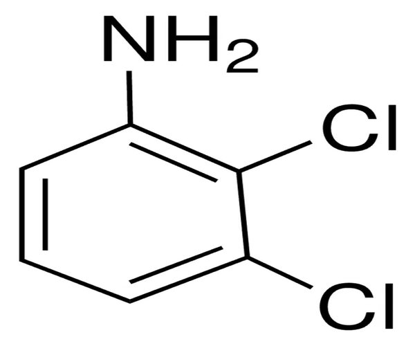 2,3-DICHLOROANILINE, 99% pack 1X100G