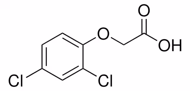 2,4-DICHLOROPHENOXYACETIC ACID, 97% pack 1X100G