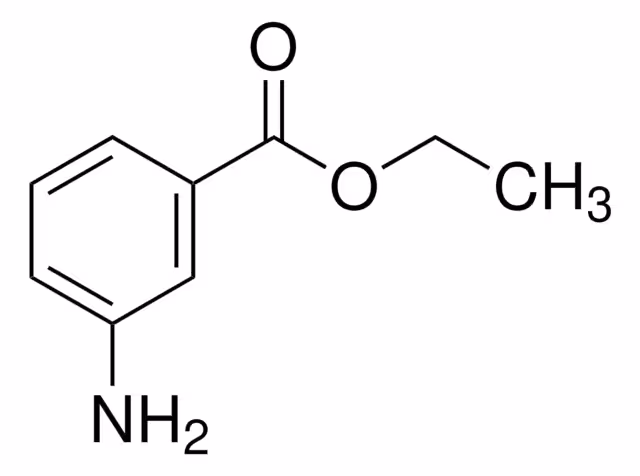 ETHYL 3-AMINOBENZOATE, 97% pack 1X5G