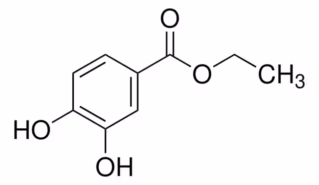 ETHYL 3,4-DIHYDROXYBENZOATE, 97% pack 1X5G