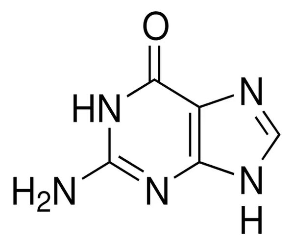 GUANINE, 98% pack 1X10G