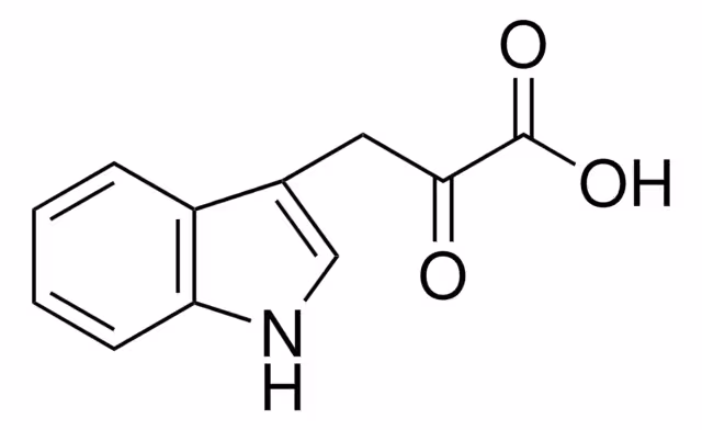 INDOLE-3-PYRUVIC ACID, >=97% pack 1X1G