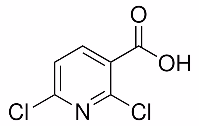 2,6-DICHLOROPYRIDINE-3-CARBOXYLIC ACID,& pack 1X25G