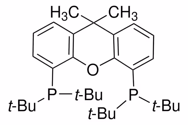9,9-DIMETHYL-4,5-BIS(DI-TERT-BUTYLPHOSP& pack 1X500MG