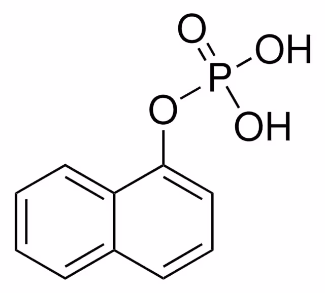 1-NAPHTHYL PHOSPHATE, 99% pack 1X1G