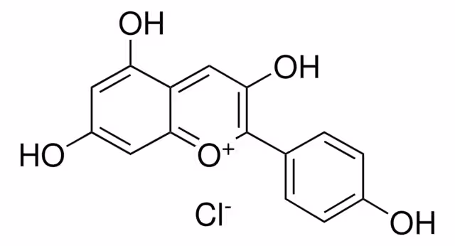 PELARGONIDIN CHLORIDE pack 1X10MG