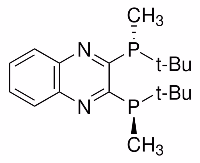 (R,R)-(#)-2,3-BIS(TERT-BUTYLMETHYLPHOSP pack 1X100MG