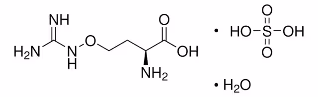 L-(+)-CANAVANINE SULFATE MONOHYDRATE, 9& pack 1X1G