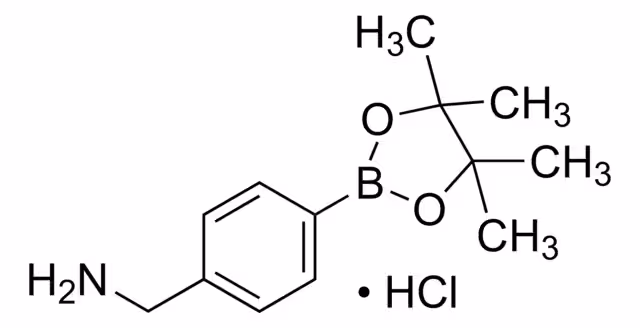 4-(AMINOMETHYL)PHENYLBORONIC ACID PINAC& pack 1X1G