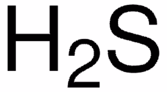 HYDROGEN SULFIDE SOLUTION pack 1X25ML