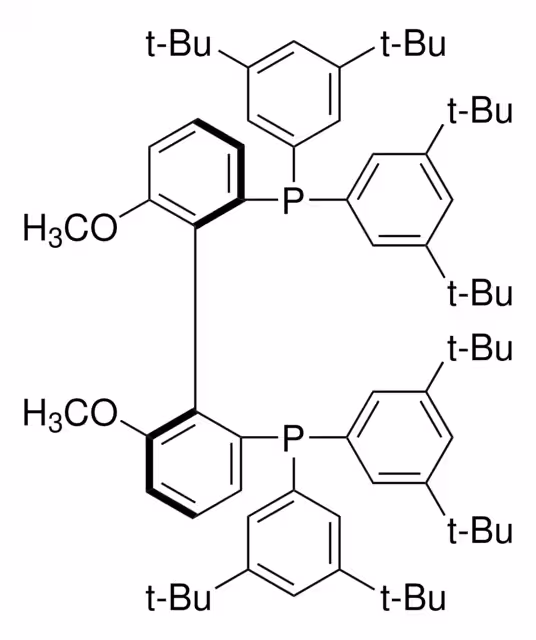 (R)-(6,6'-DIMETHOXYBIPHENYL-2,2'-DIYL)BI pack 1X500MG