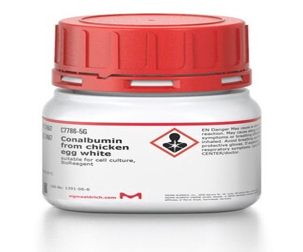 CONALBUMIN FROM FROM CHICKEN EGG WHITE & pack 1X1G