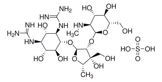 DIHYDROSTREPTOMYCIN SESQUISULFATE BIORE& pack 1X25G