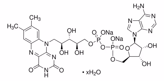 FLAVIN ADENINE DINUCLEOTIDE DISODIUM SA& pack 1X100MG