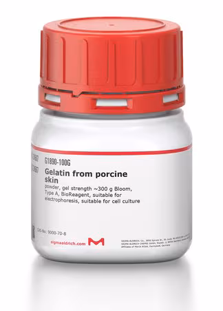 GELATIN FROM PORCINE SKIN, POWDER, GEL& pack 1X100G
