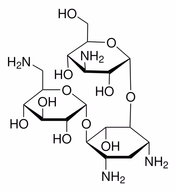 KANAMYCIN SOLUTION FROM FROM STREPTOMYC& pack 1X20ML