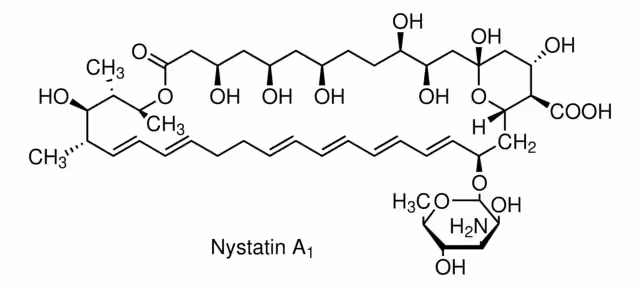 NYSTATIN BIOREAGENT, SUITABLE FOR CELL & pack 1X5MU