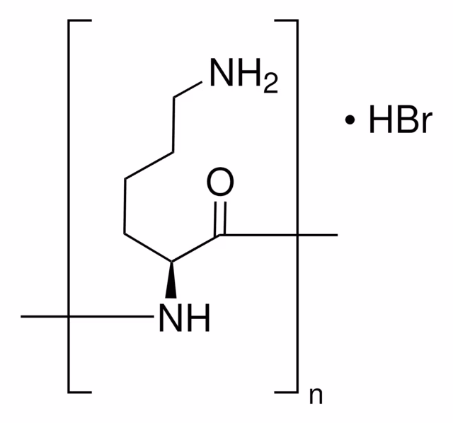 POLY-L-LYSINE HYDROBROMIDE MOL& pack 1X5MG
