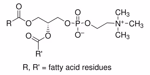 L-A-PHOSPHATIDYL-CHOLINE TYPE III-S FROM pack 1X50MG