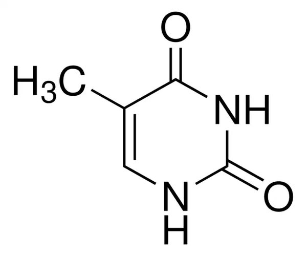 THYMINE BIOREAGENT, SUITABLE FOR CELL C& pack 1X5G