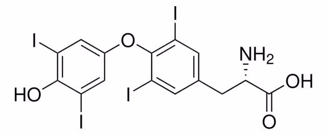 L-THYROXINE CELL CULTURE TESTED pack 1X100MG